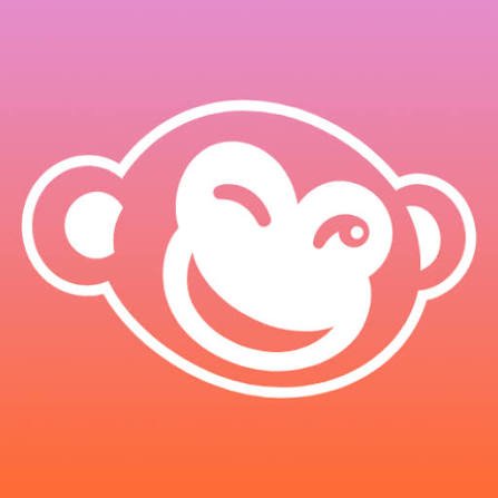 Pic monkey